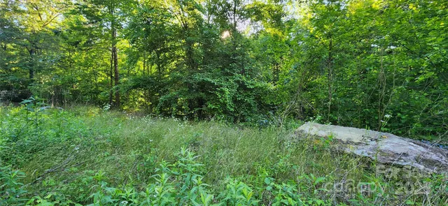 a view of a lush green space