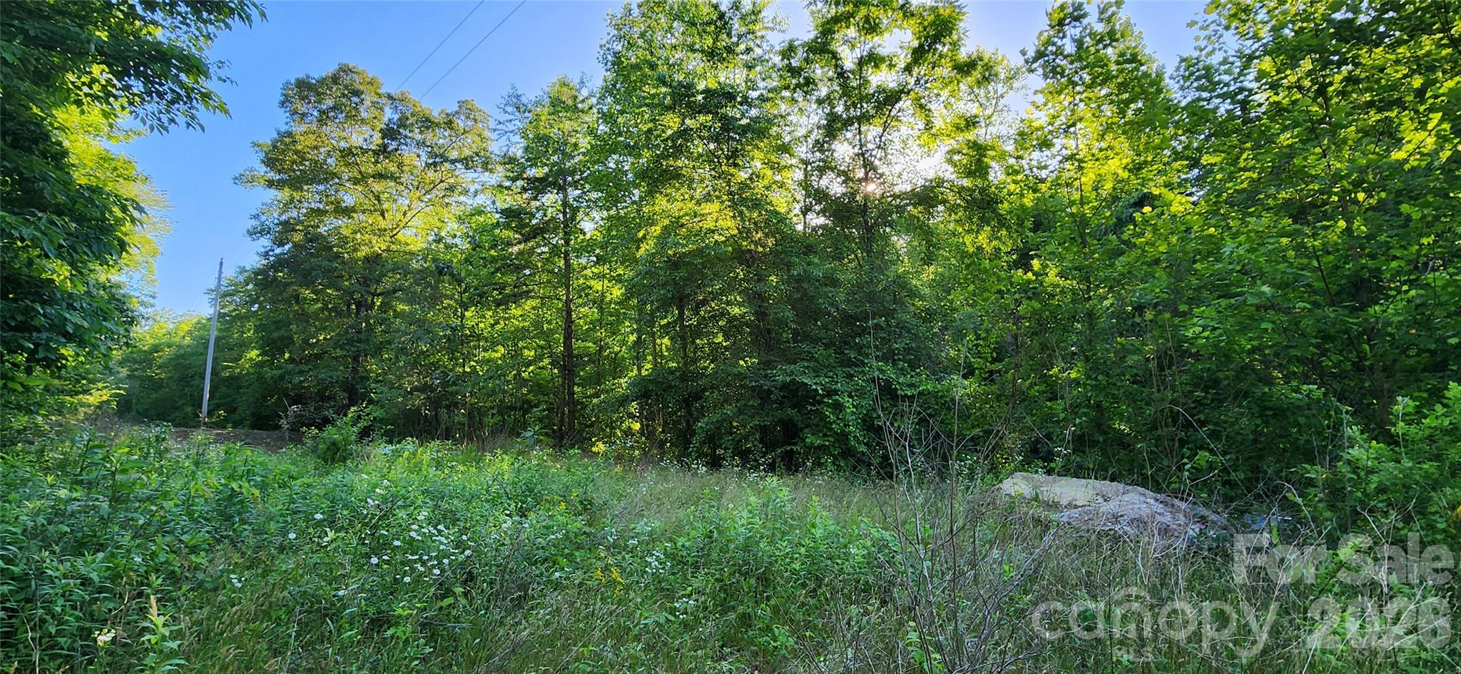 0 Buffalo Creek Road, Unit 74 Lake Lure, NC 28746 - Photo 17 of 48