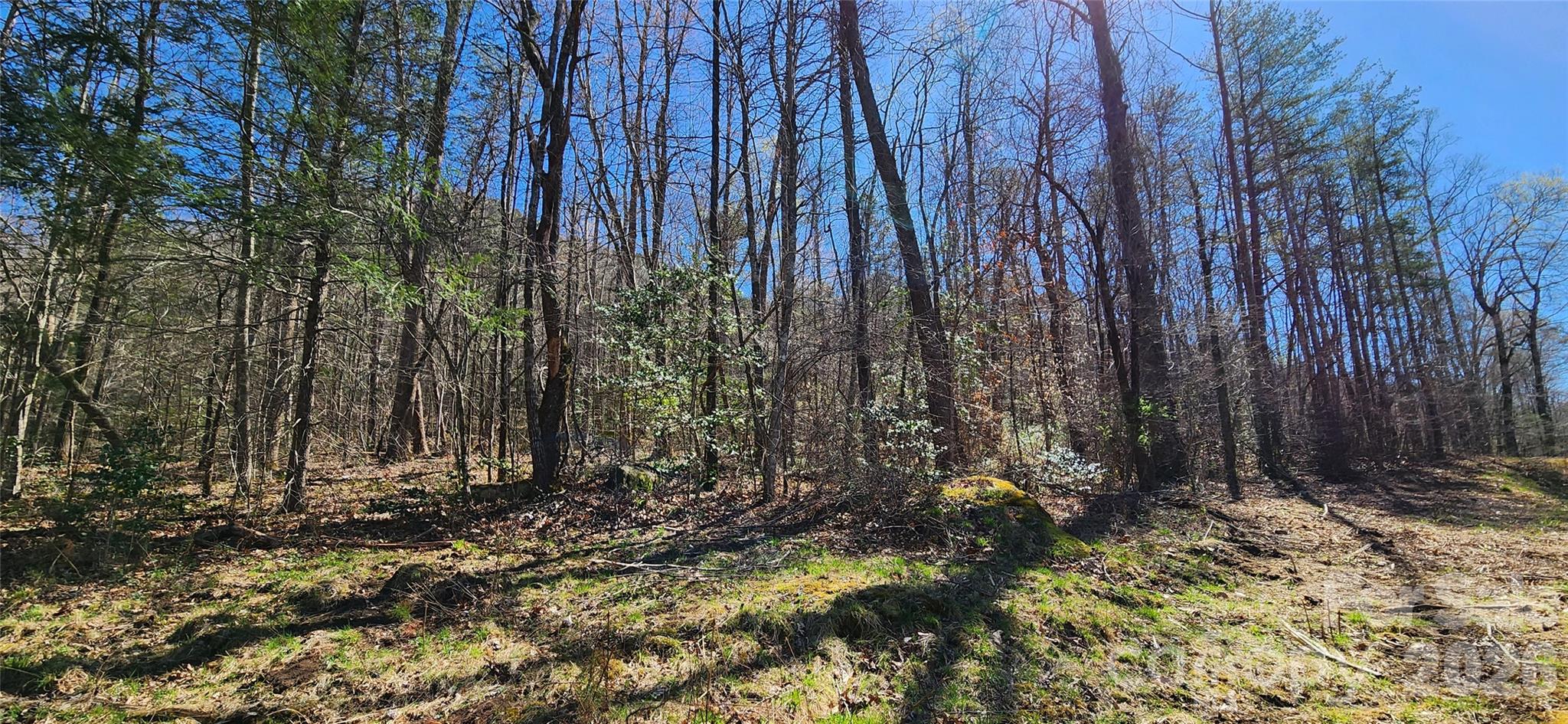 0 Buffalo Creek Road, Unit 74 Lake Lure, NC 28746 - Photo 18 of 48