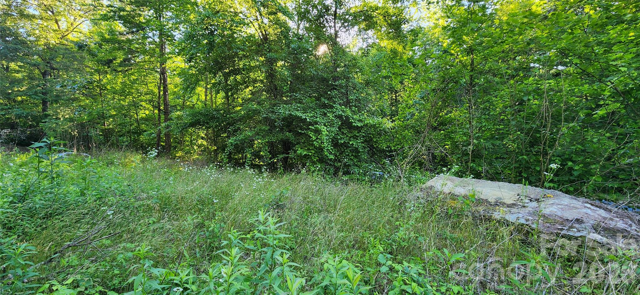 0 Buffalo Creek Road, Unit 74 Lake Lure, NC 28746 - Photo 19 of 48