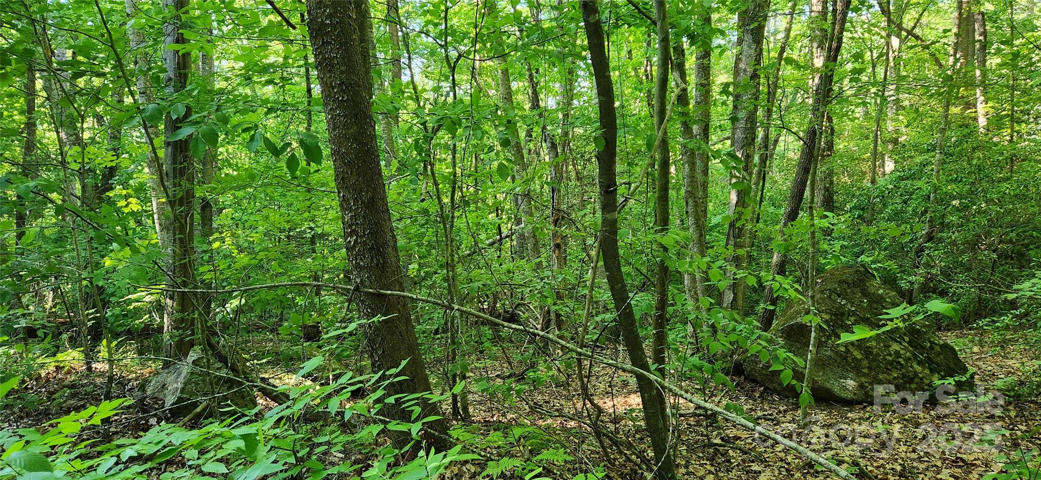0 Buffalo Creek Road, Unit 74 Lake Lure, NC 28746 - Photo 20 of 29 a backyard of a house with lots of green space