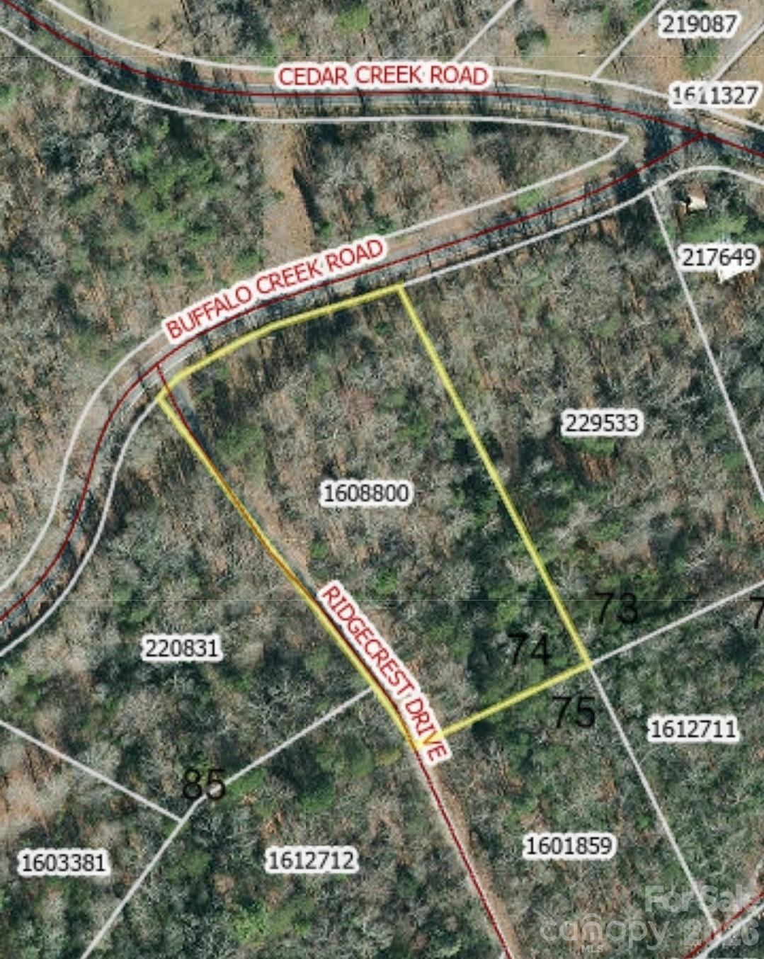 0 Buffalo Creek Road, Unit 74 Lake Lure, NC 28746 - Photo 2 of 48