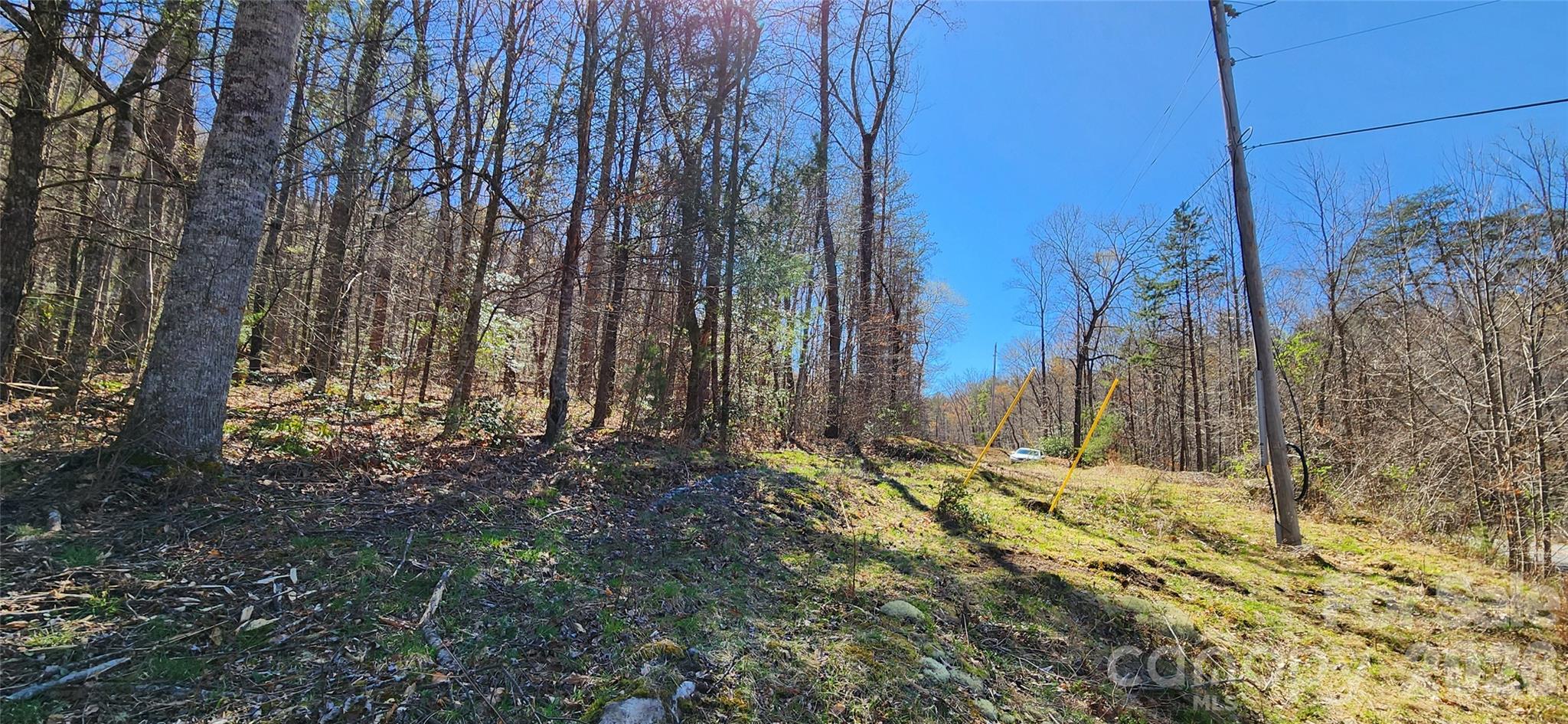 0 Buffalo Creek Road, Unit 74 Lake Lure, NC 28746 - Photo 21 of 48