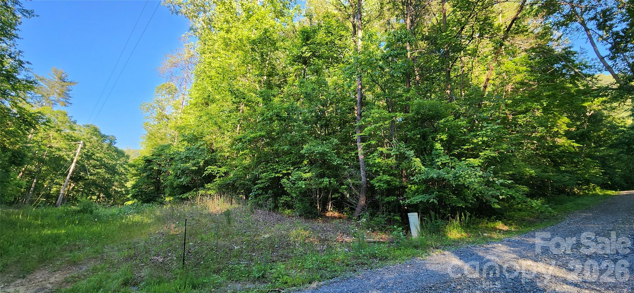 0 Buffalo Creek Road, Unit 74 Lake Lure, NC 28746 - Photo 23 of 48