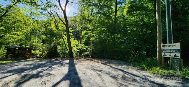 a view of a pathway of a park