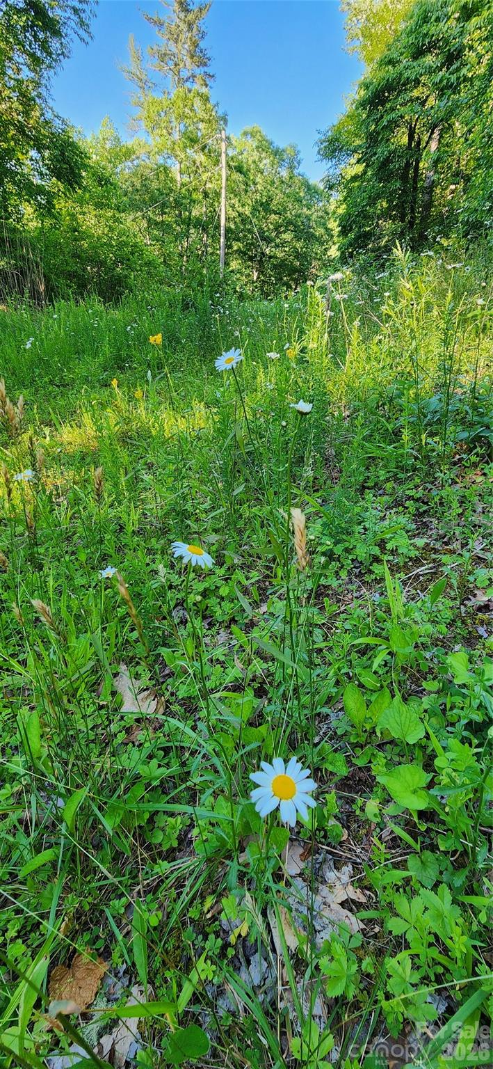 0 Buffalo Creek Road, Unit 74 Lake Lure, NC 28746 - Photo 25 of 48