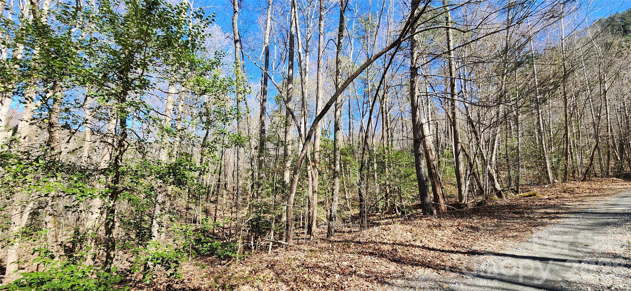 0 Buffalo Creek Road, Unit 74 Lake Lure, NC 28746 - Photo 26 of 48