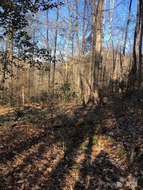 0 Buffalo Creek Road, Unit 74 Lake Lure, NC 28746 - Photo 27 of 29 a view of yard