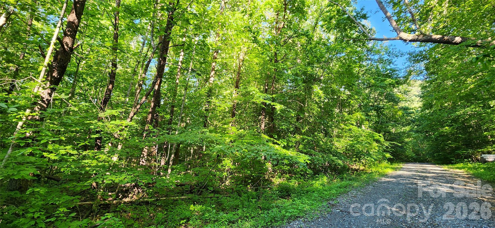 0 Buffalo Creek Road, Unit 74 Lake Lure, NC 28746 - Photo 27 of 48