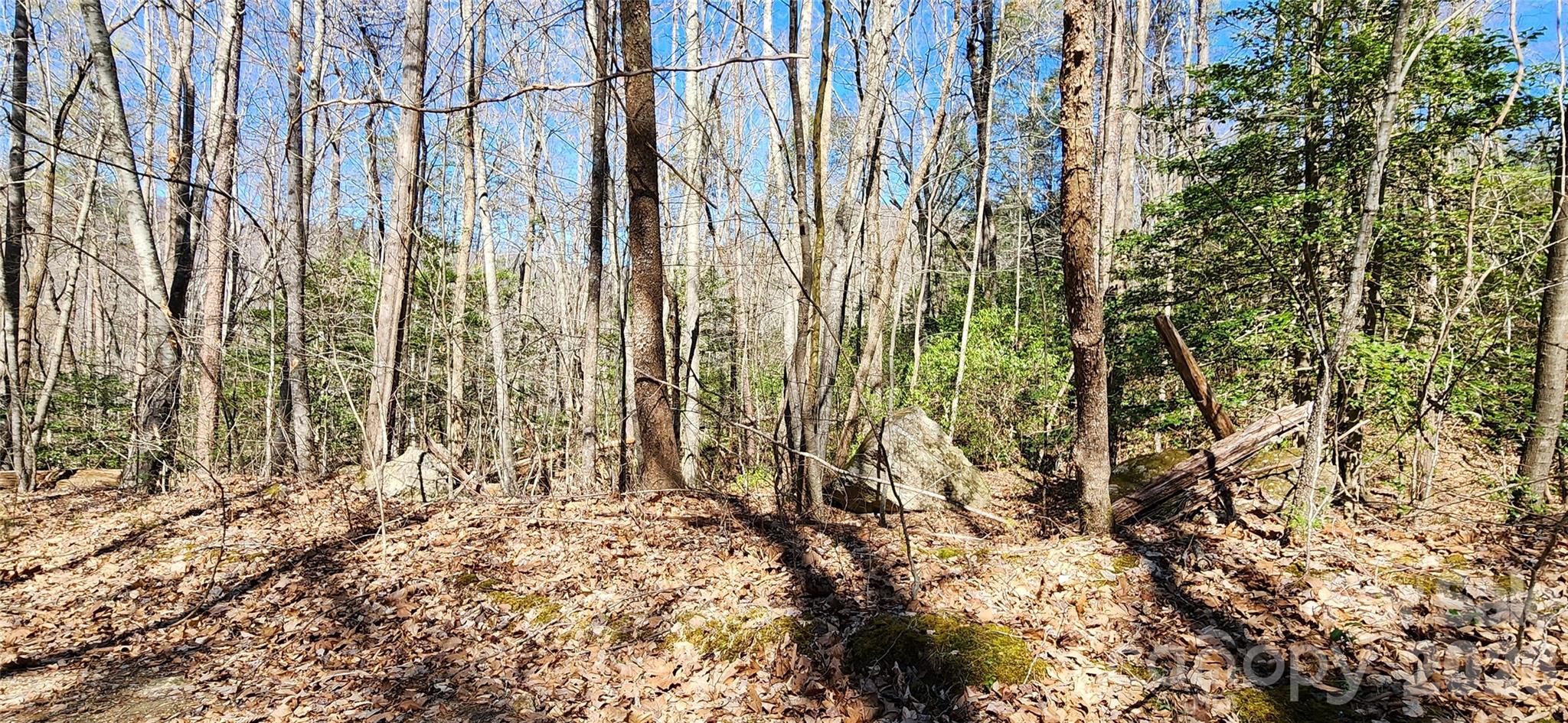 0 Buffalo Creek Road, Unit 74 Lake Lure, NC 28746 - Photo 28 of 48