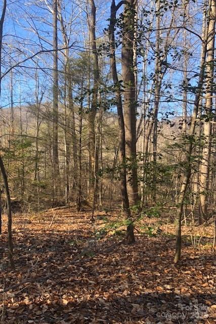 0 Buffalo Creek Road, Unit 74 Lake Lure, NC 28746 - Photo 28 of 29 a view of door and outdoor space