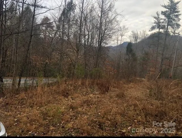 $43,900 | 0 Buffalo Creek Road, Unit 74, Lake Lure, NC 28746