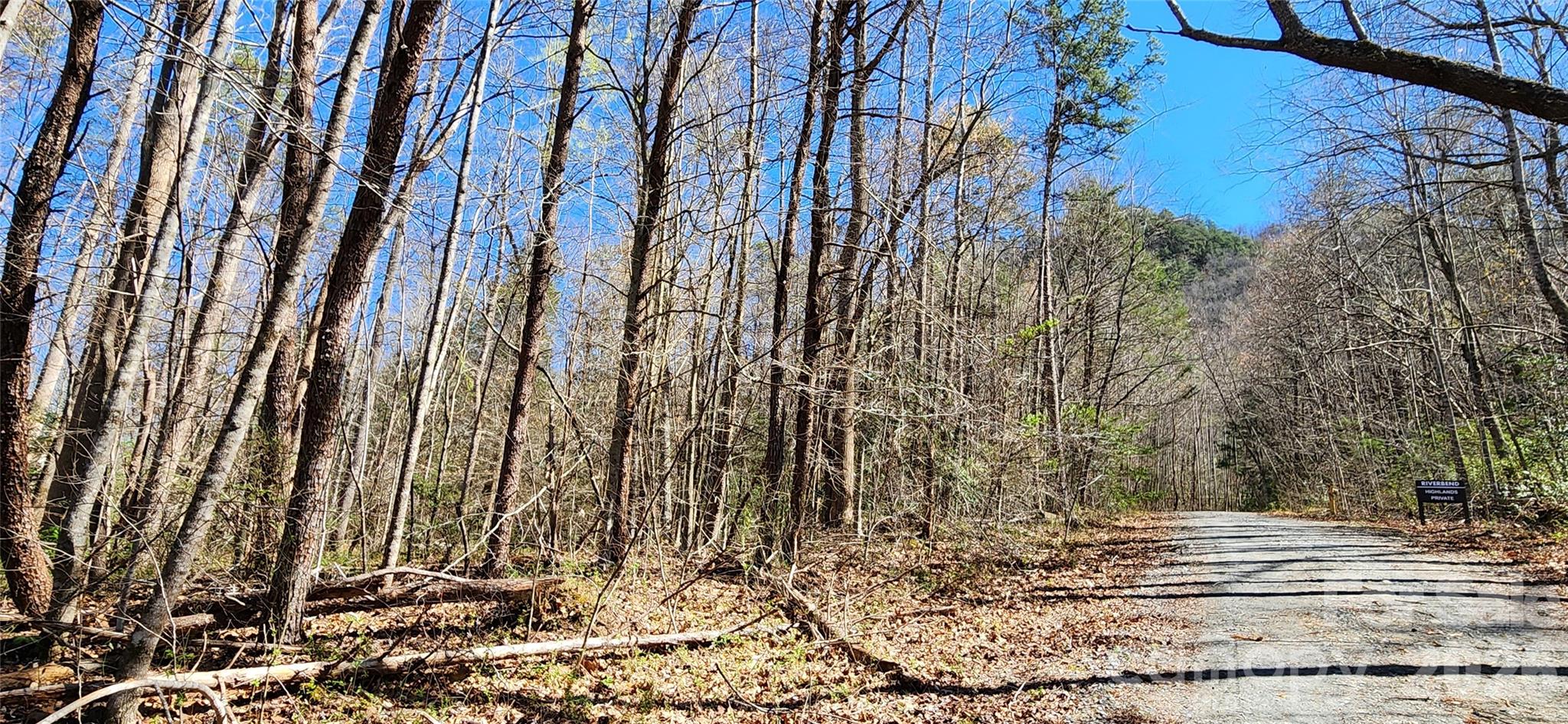 0 Buffalo Creek Road, Unit 74 Lake Lure, NC 28746 - Photo 30 of 48