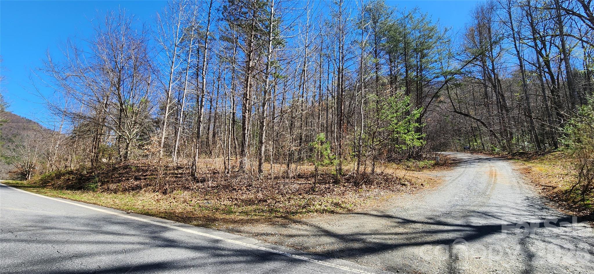 0 Buffalo Creek Road, Unit 74 Lake Lure, NC 28746 - Photo 3 of 48