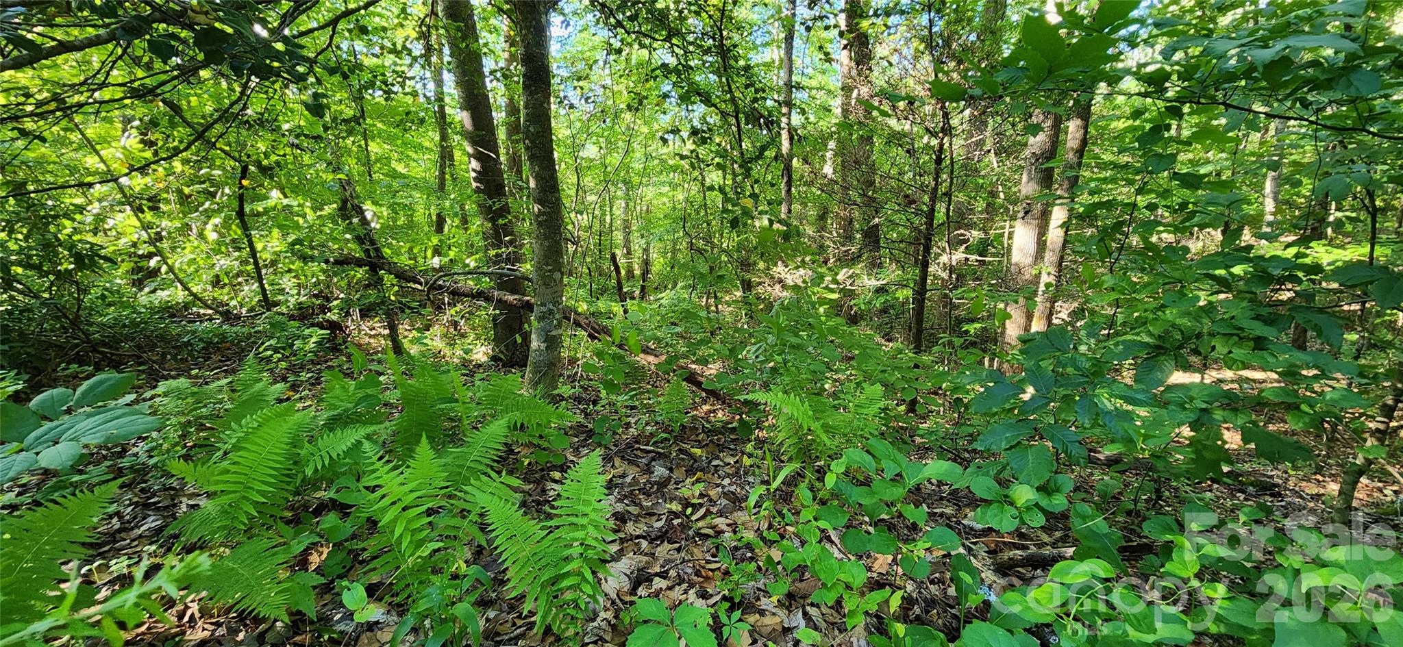 0 Buffalo Creek Road, Unit 74 Lake Lure, NC 28746 - Photo 33 of 48