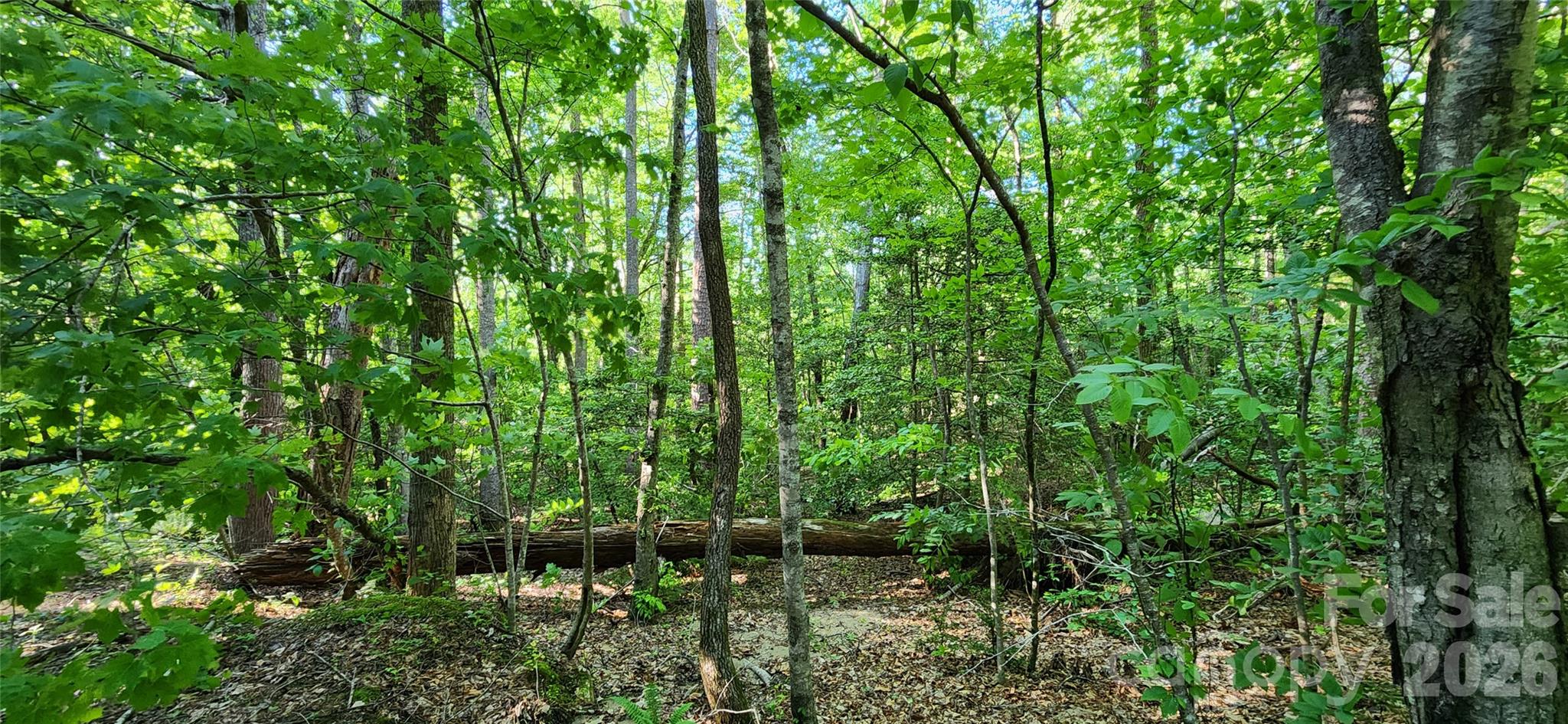 0 Buffalo Creek Road, Unit 74 Lake Lure, NC 28746 - Photo 34 of 48