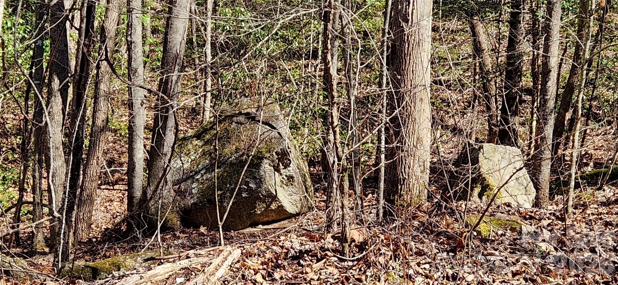 0 Buffalo Creek Road, Unit 74 Lake Lure, NC 28746 - Photo 35 of 48