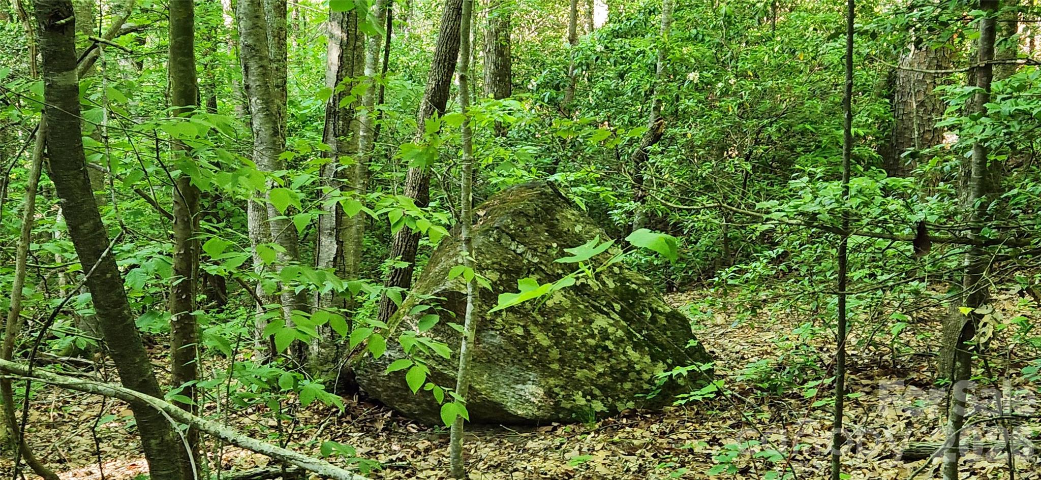 0 Buffalo Creek Road, Unit 74 Lake Lure, NC 28746 - Photo 36 of 48