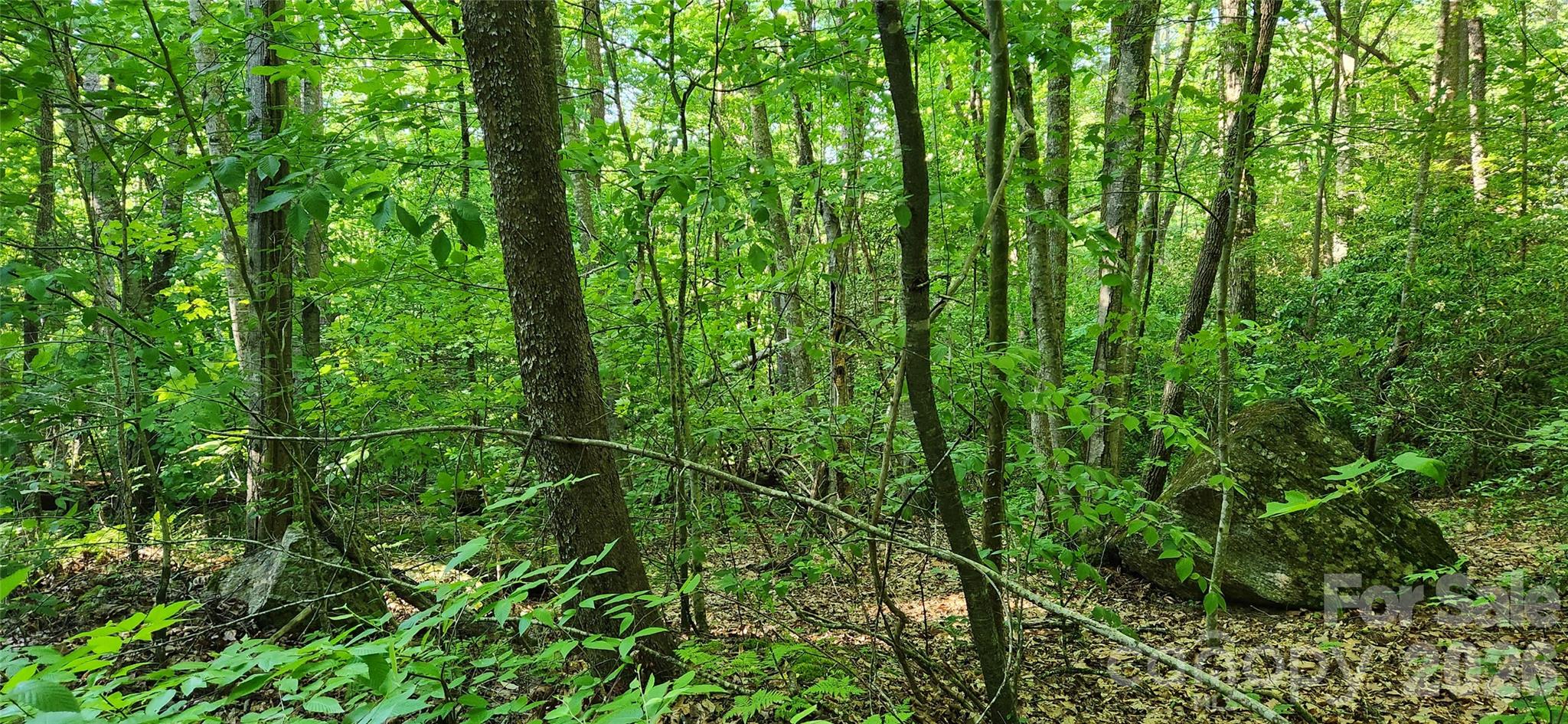 0 Buffalo Creek Road, Unit 74 Lake Lure, NC 28746 - Photo 38 of 48