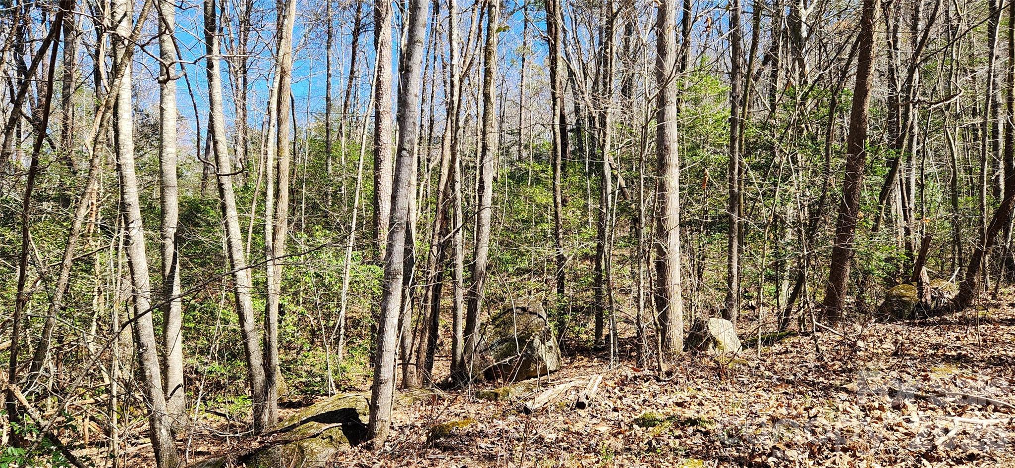 0 Buffalo Creek Road, Unit 74 Lake Lure, NC 28746 - Photo 39 of 48