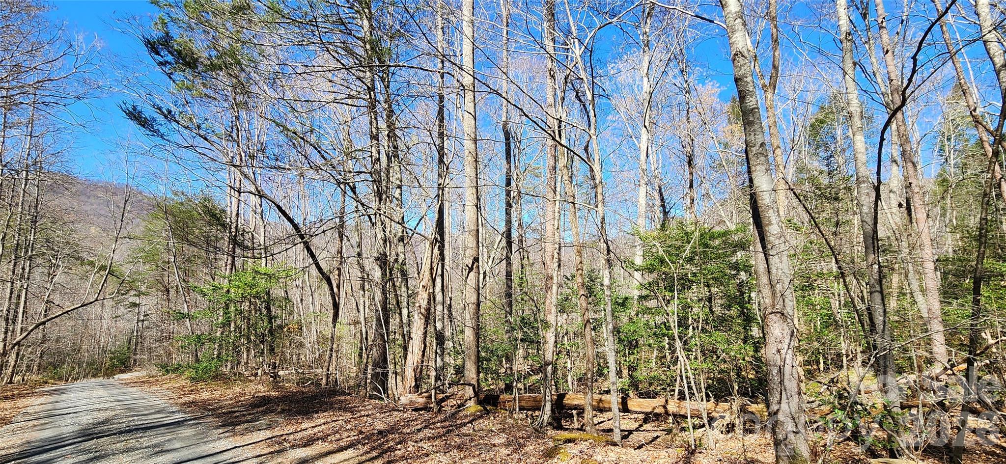 0 Buffalo Creek Road, Unit 74 Lake Lure, NC 28746 - Photo 40 of 48