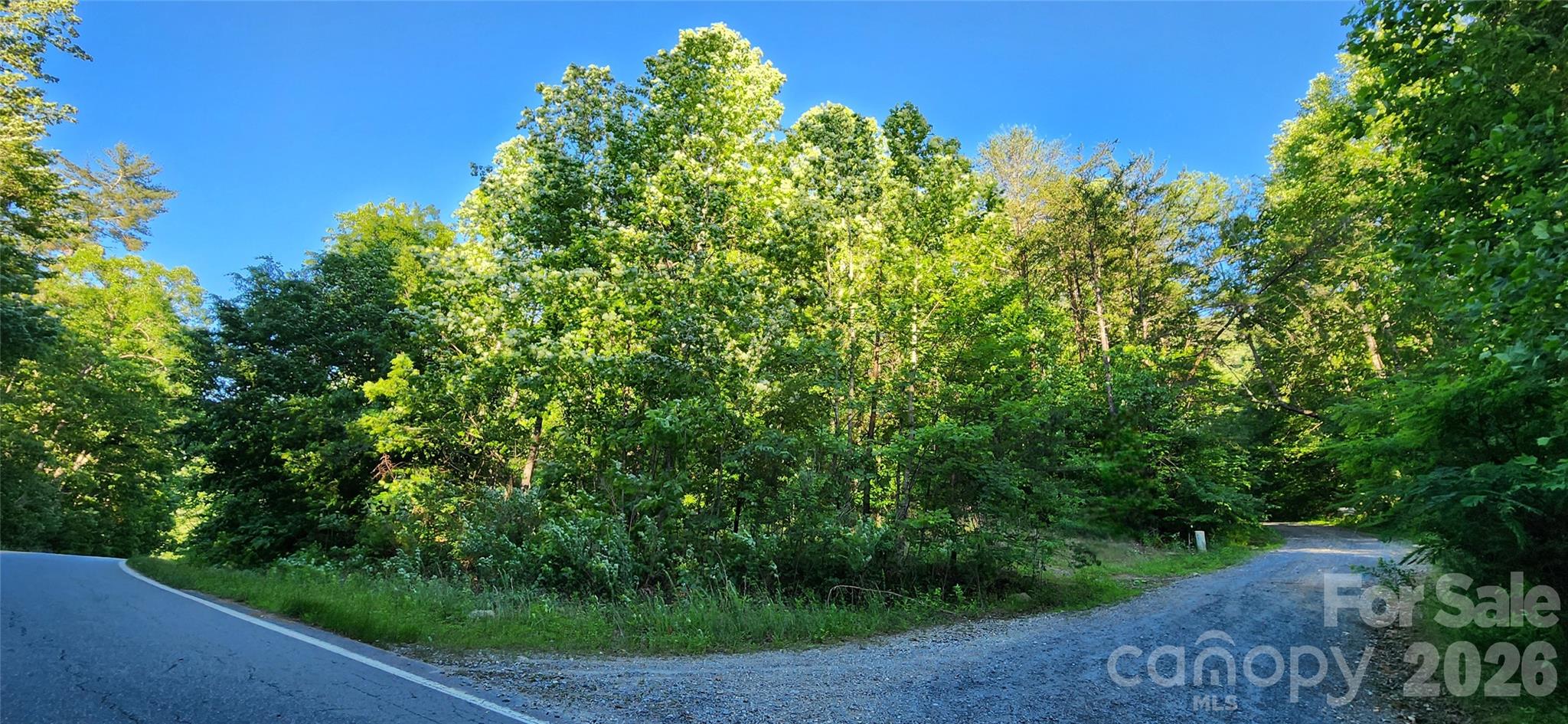 0 Buffalo Creek Road, Unit 74 Lake Lure, NC 28746 - Photo 4 of 48