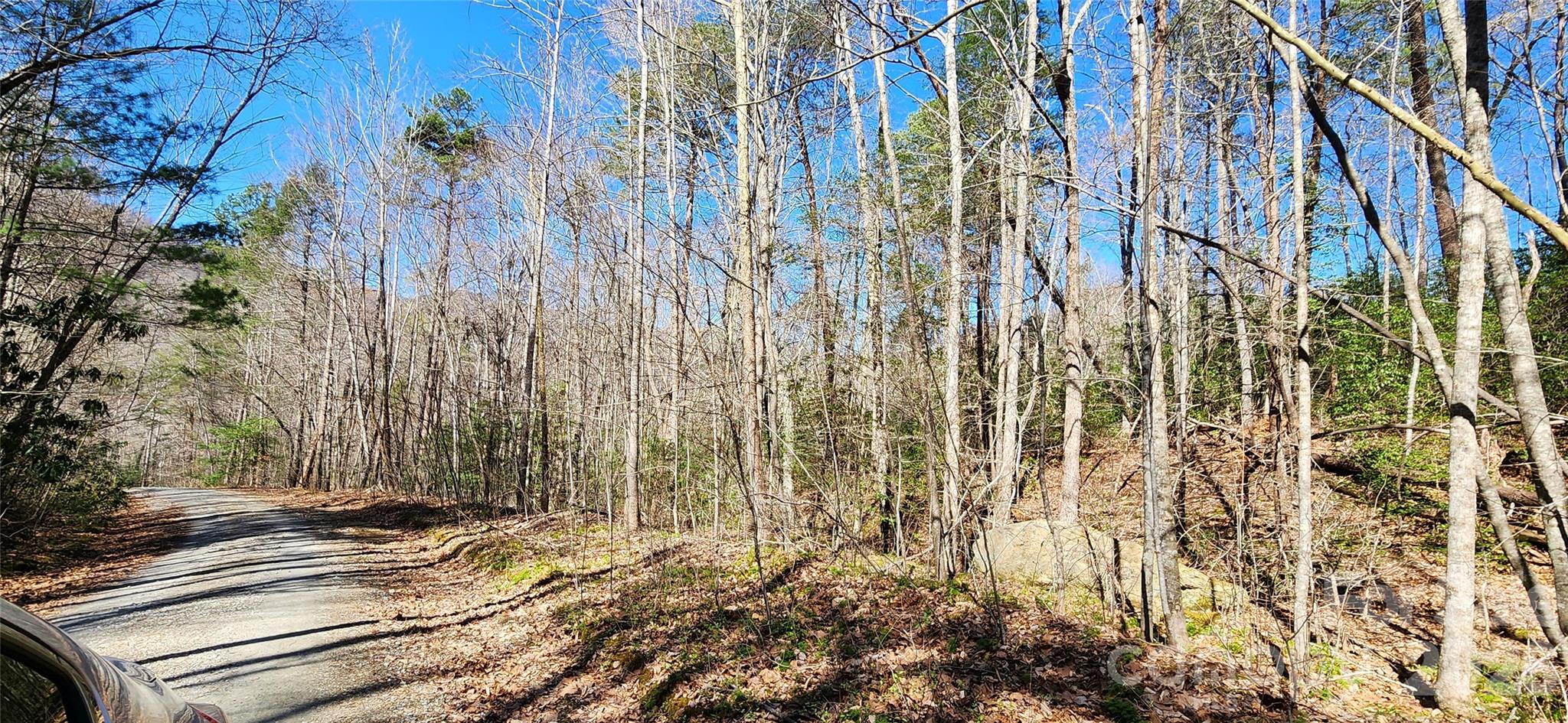 0 Buffalo Creek Road, Unit 74 Lake Lure, NC 28746 - Photo 41 of 48