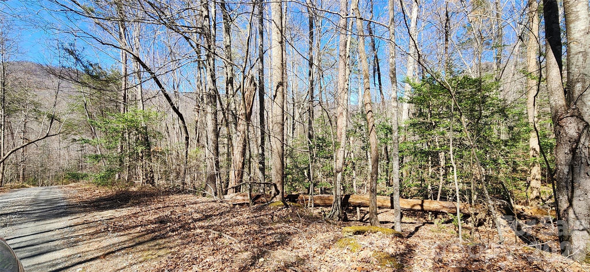 0 Buffalo Creek Road, Unit 74 Lake Lure, NC 28746 - Photo 42 of 48