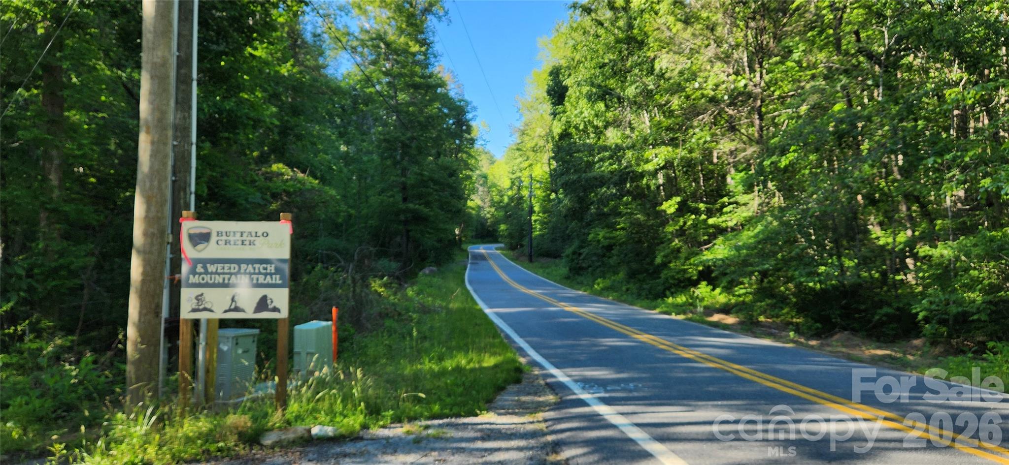 0 Buffalo Creek Road, Unit 74 Lake Lure, NC 28746 - Photo 47 of 48