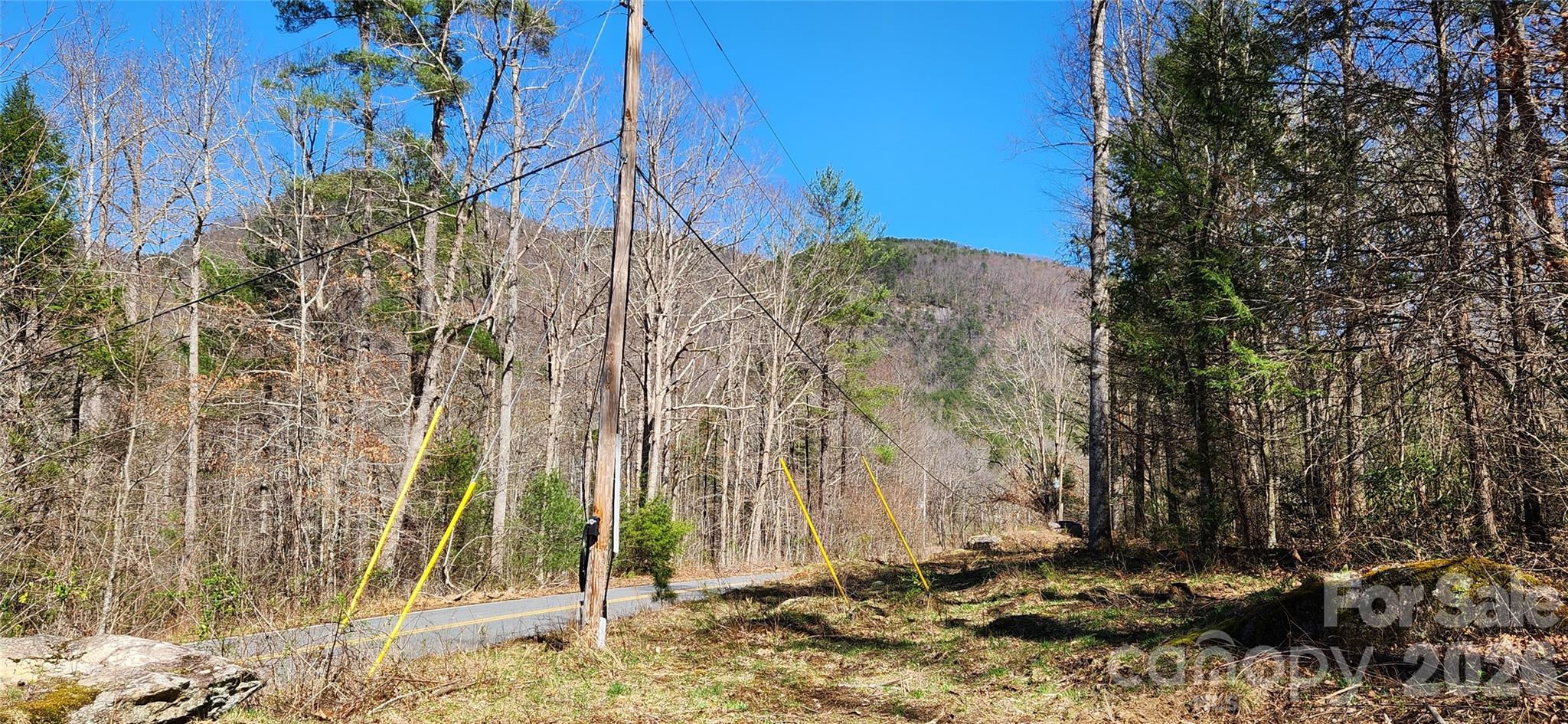 0 Buffalo Creek Road, Unit 74 Lake Lure, NC 28746 - Photo 5 of 48