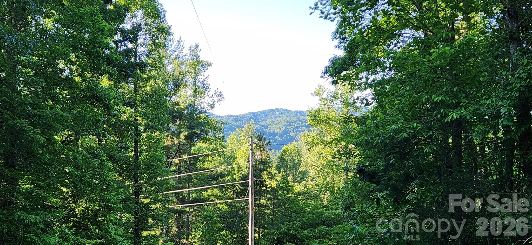 0 Buffalo Creek Road, Unit 74 Lake Lure, NC 28746 - Photo 6 of 48