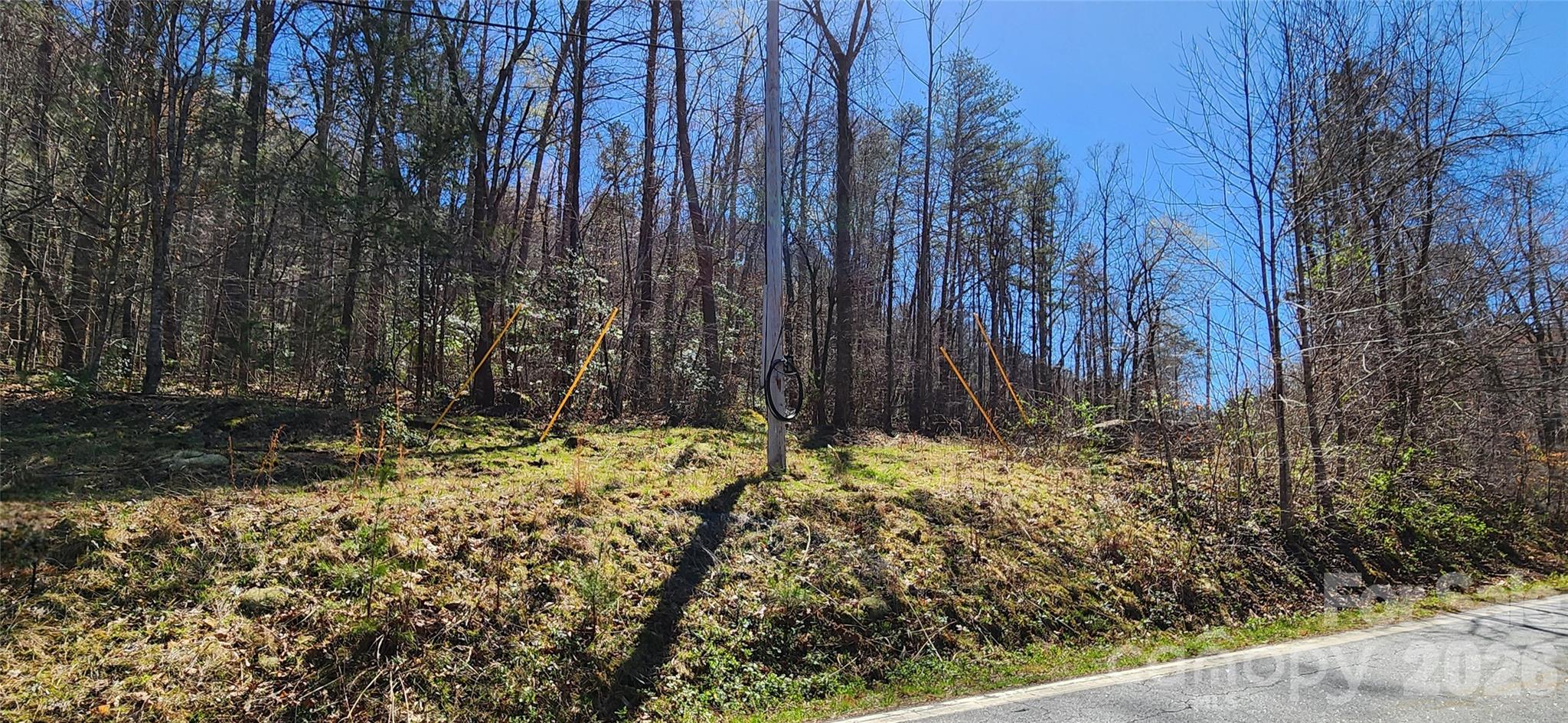 0 Buffalo Creek Road, Unit 74 Lake Lure, NC 28746 - Photo 7 of 48