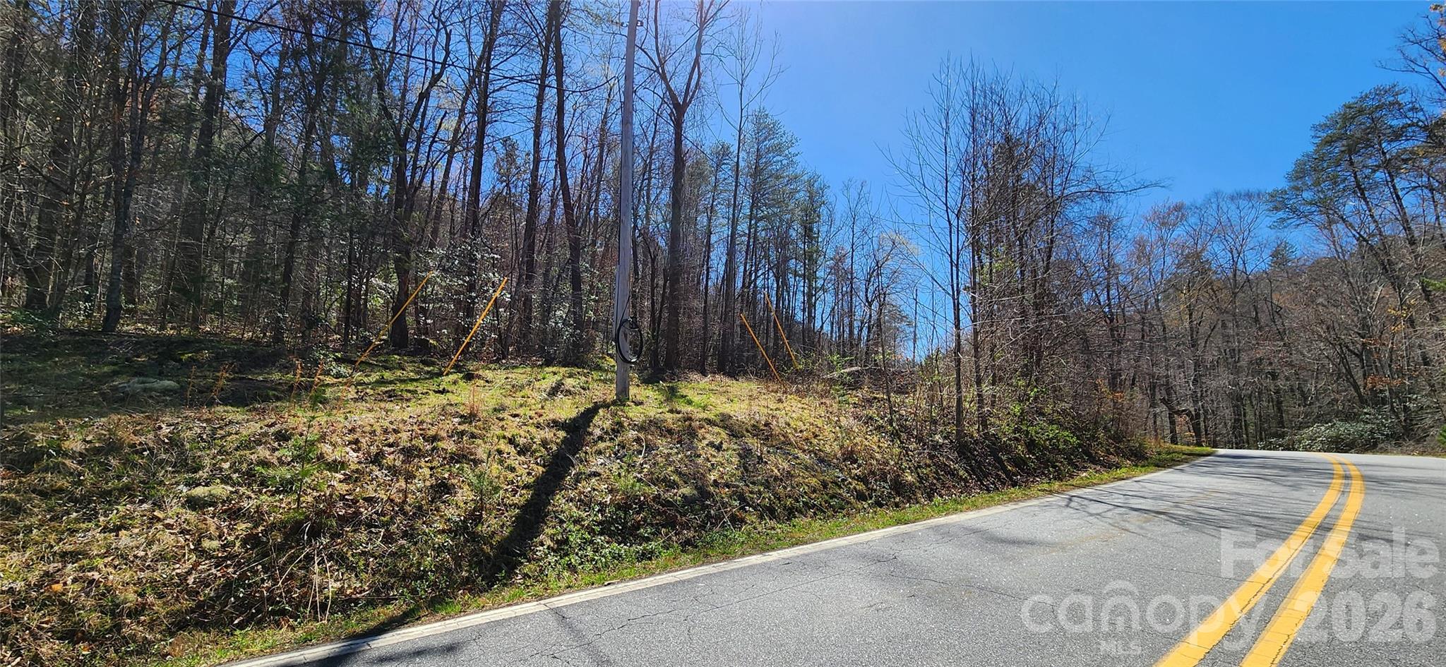 0 Buffalo Creek Road, Unit 74 Lake Lure, NC 28746 - Photo 8 of 48