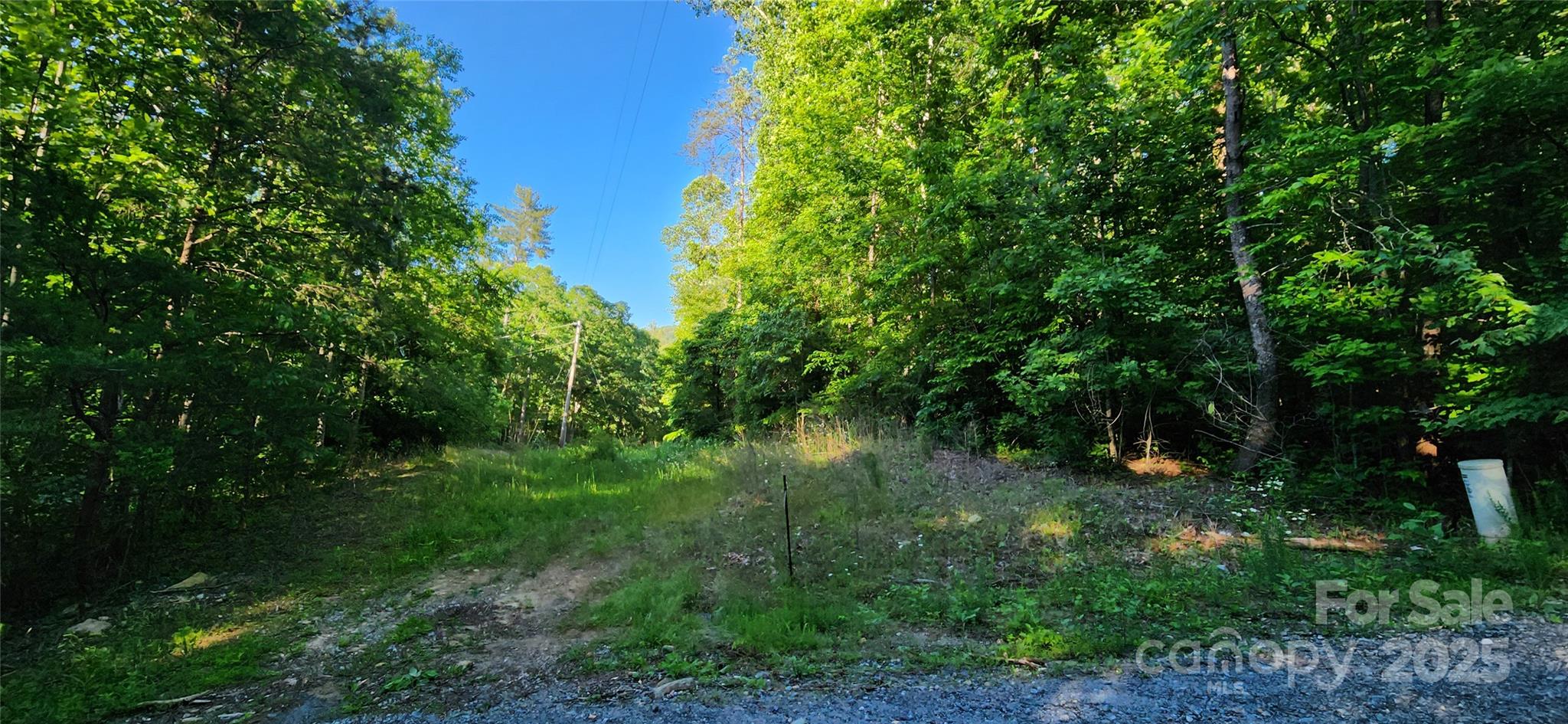 0 Buffalo Creek Road, Unit 74 Lake Lure, NC 28746 - Photo 8 of 29 a view of a garden
