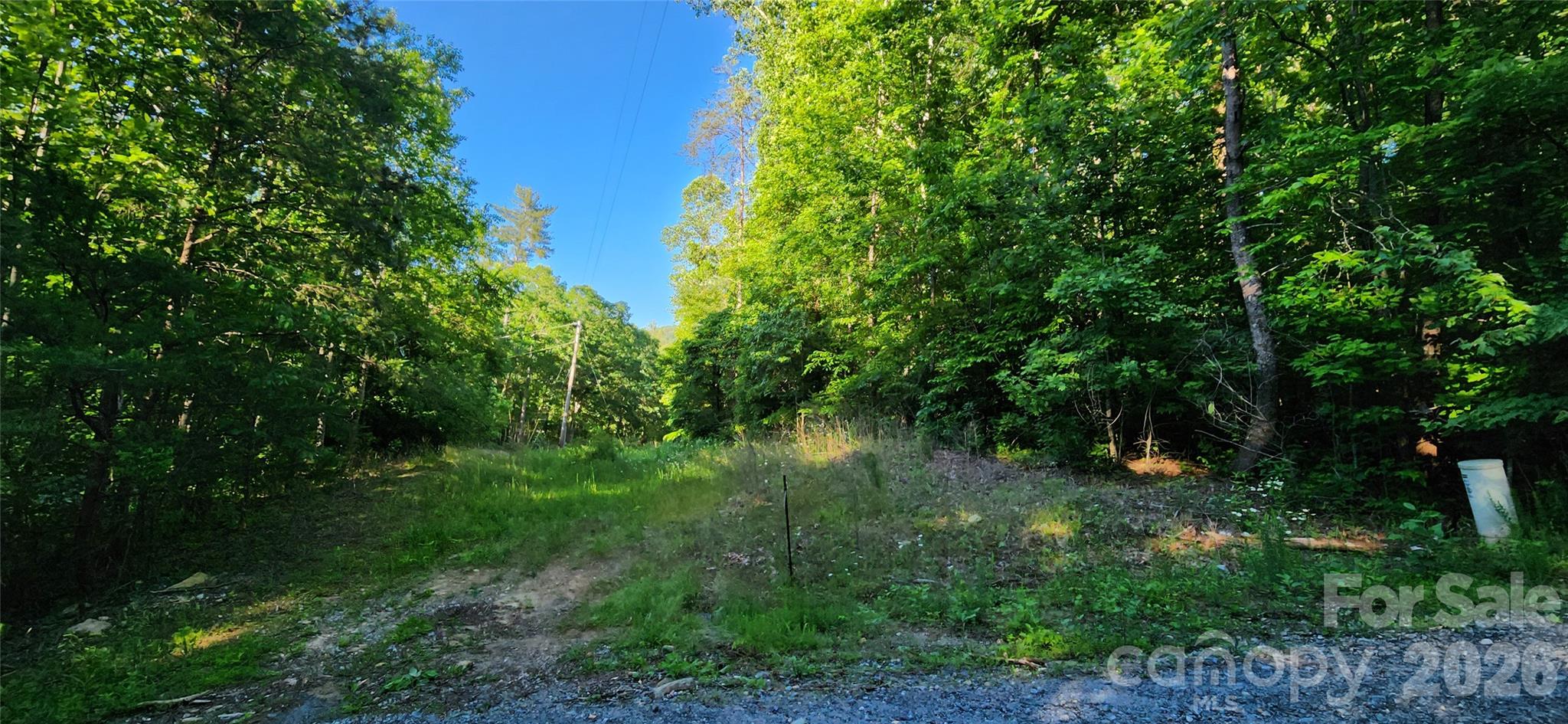 0 Buffalo Creek Road, Unit 74 Lake Lure, NC 28746 - Photo 9 of 48