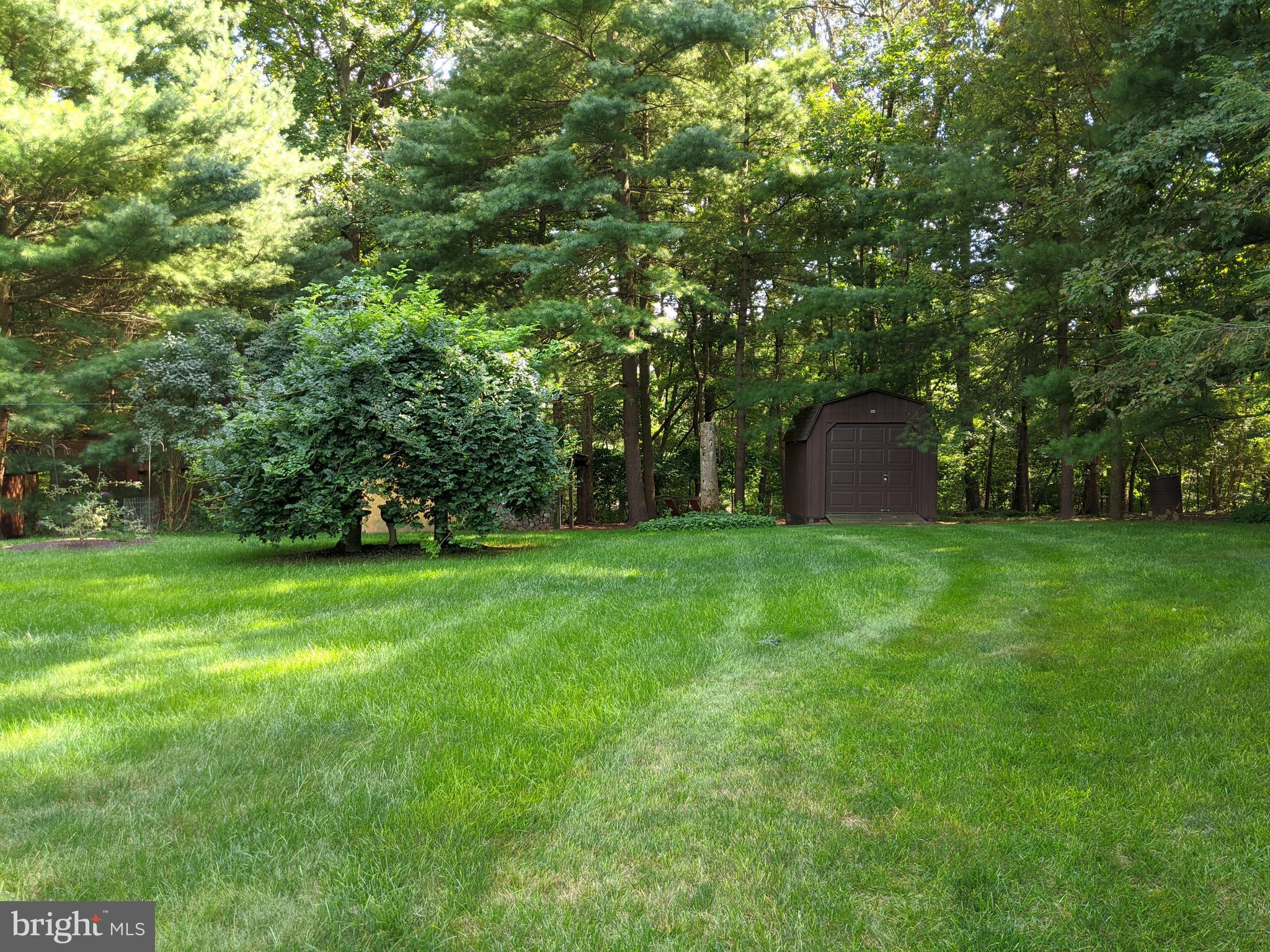 124 Timber Road Lebanon, PA 17042 - Photo 3 of 19 Rear View of Yard with Shed