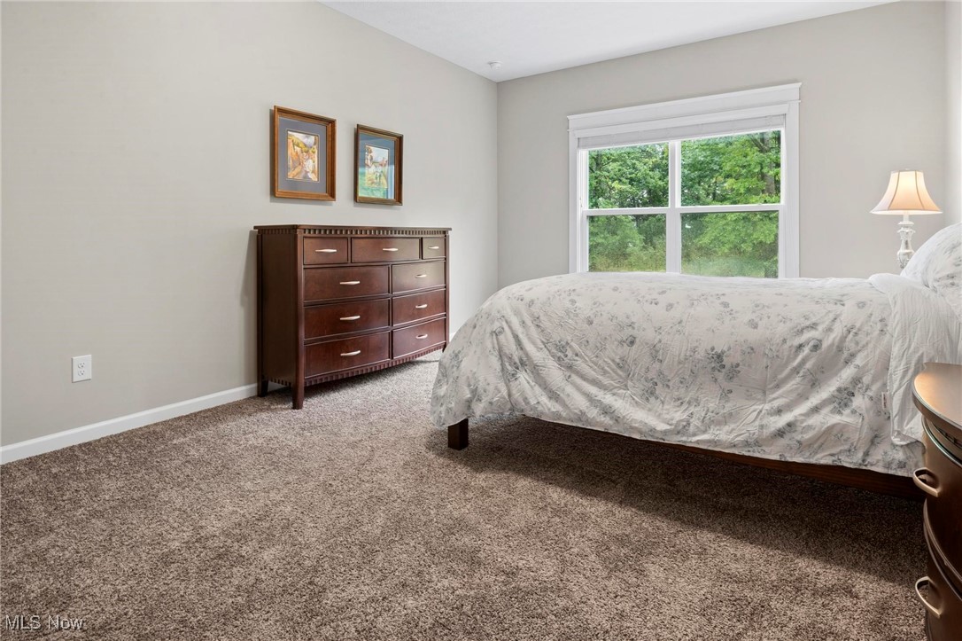 6824 Hatching Way North Ridgeville, OH 44039 - Photo 17 of 42 Bedroom with light colored carpet
