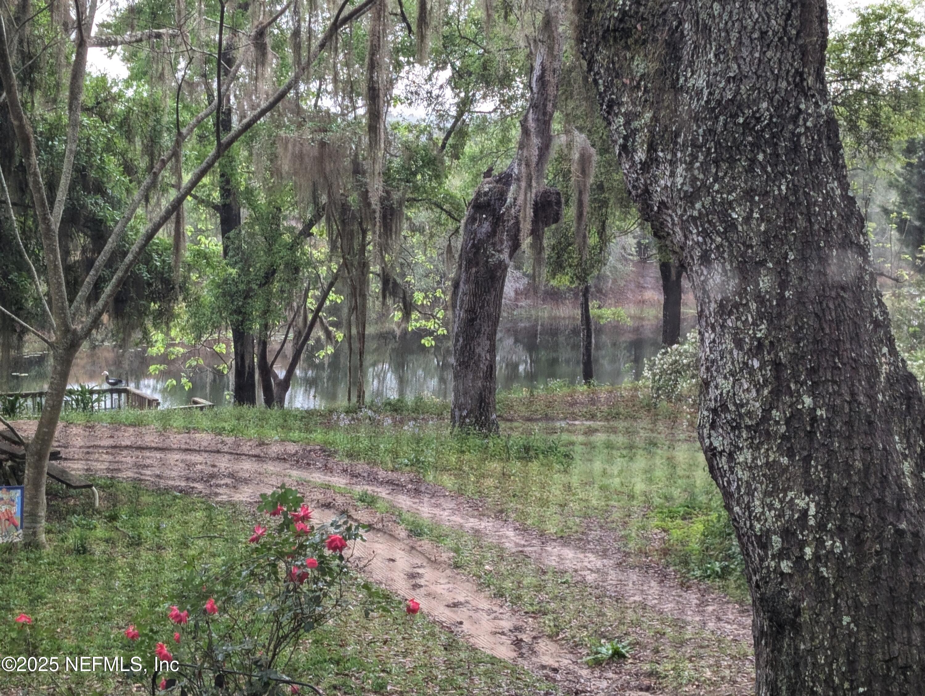 183 Sherman Dr Circle, Unit A Interlachen, FL 32148 - Photo 21 of 22 183B SHERMAN DR CIR