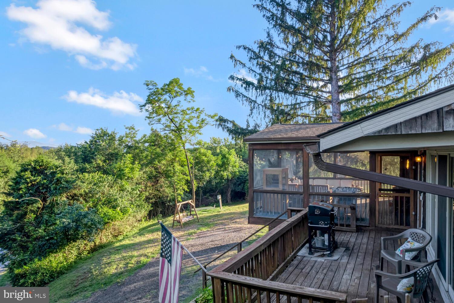 6235 South Page Valley Road Luray, VA 22835 - Photo 43 of 52 Serene deck with lush green views.