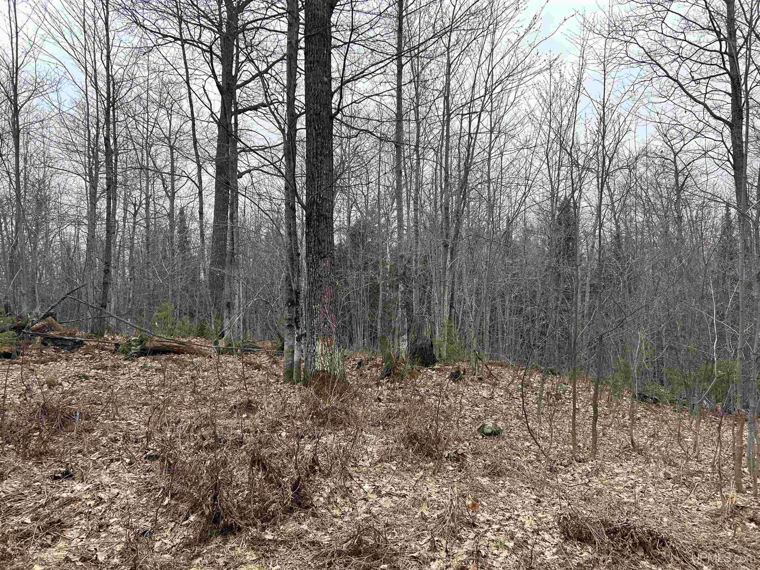 Near Krooks Road Negaunee, MI 49866 - Photo 5 of 15