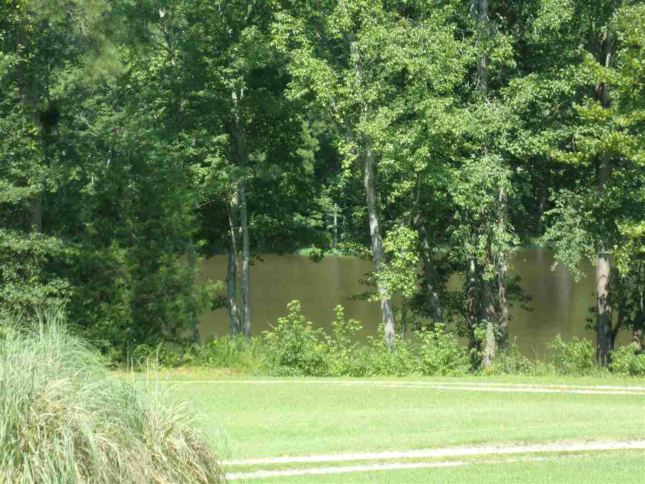 4601 Mitchell Mill Road Wake Forest, NC 27587 - Photo 30 of 30 Photo 30