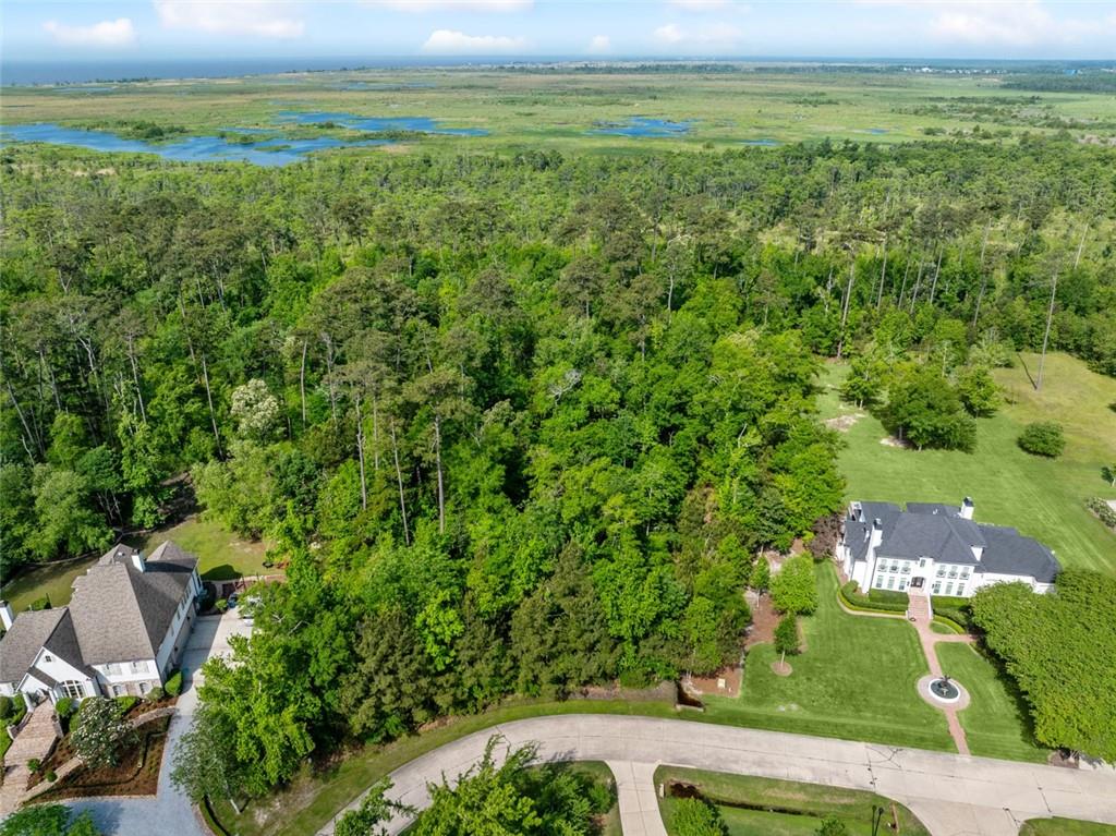 13 Eagle Trace Mandeville, LA 70471 - Photo 3 of 16