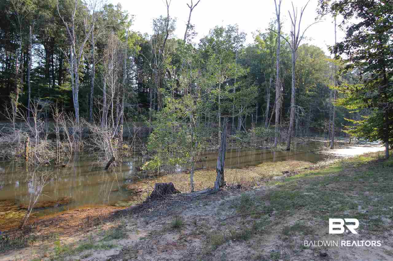 794 Dry Lake Road Luverne, AL 36049 - Photo 8 of 48 Pond