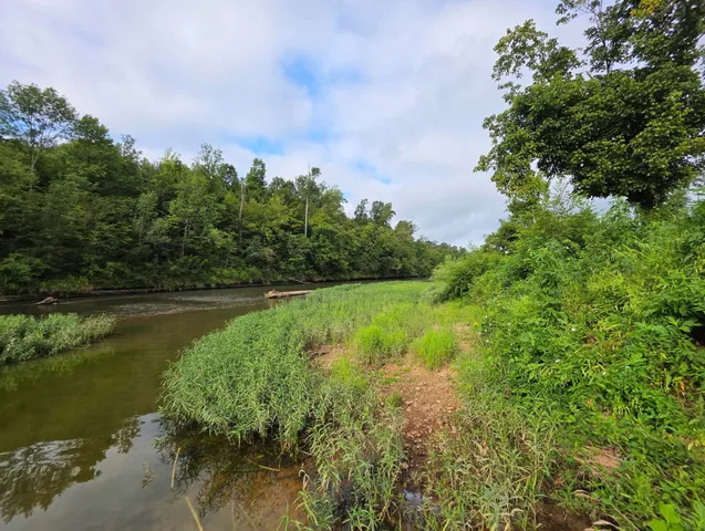 a view of lake with green space