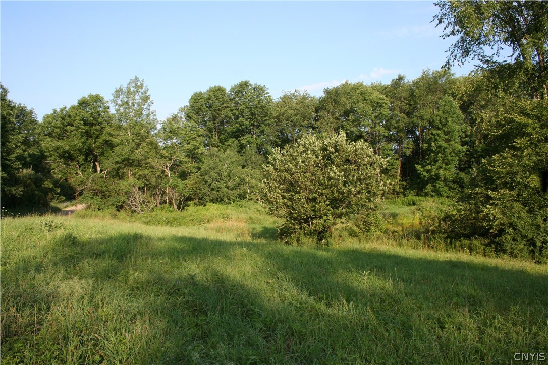 0 Sharp Road Lorraine, NY 13659 - Photo 10 of 10 Gallery Image 10