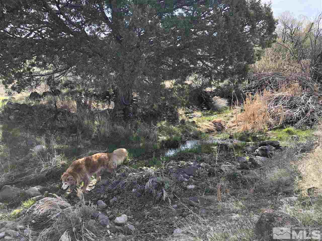 Tbd Wilcox Ranch Road Reno, NV 89510 - Photo 3 of 8 Photo 3