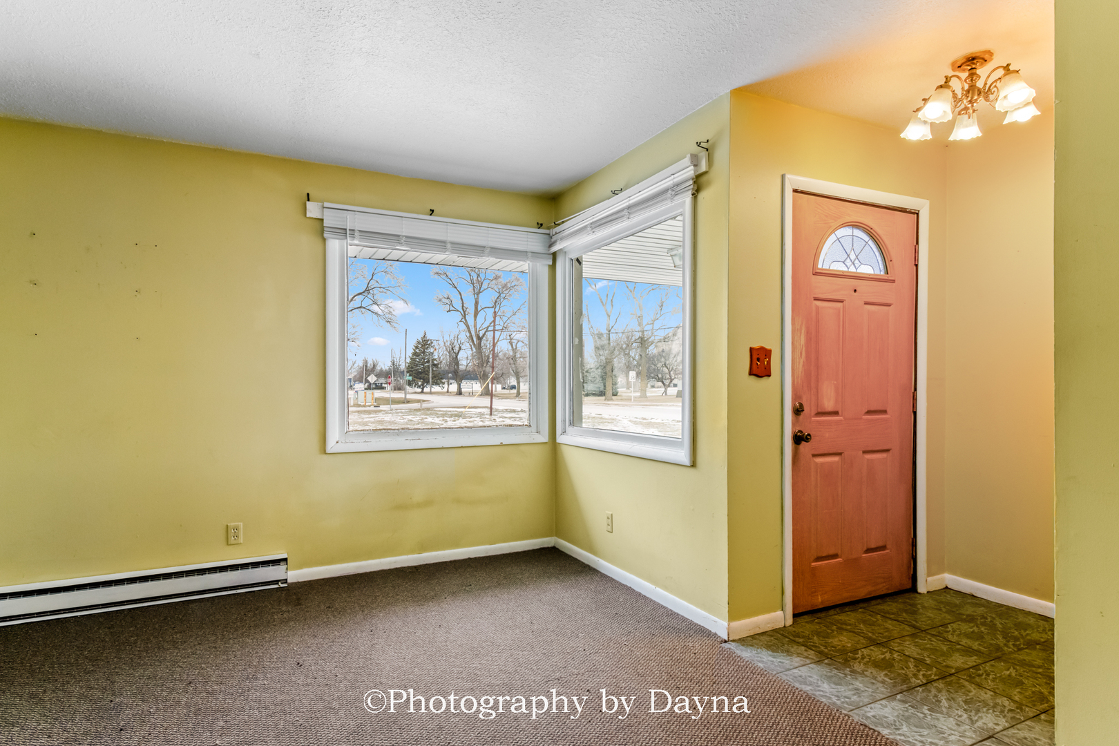 6678 Highway 1 St. Anne, IL 60964 - Photo 3 of 19