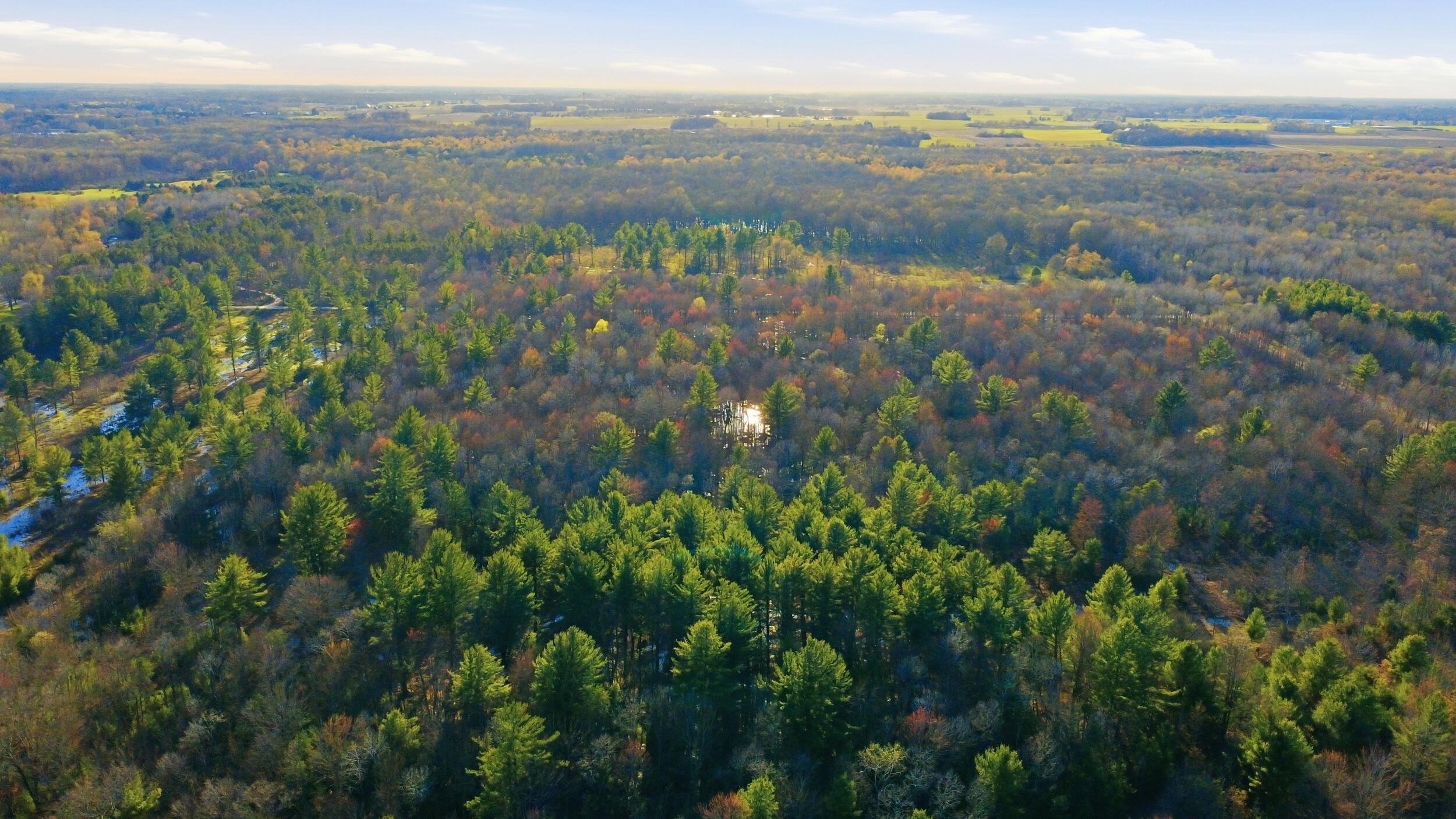 123 East Beyer Road Free Soil, MI 49411 - Photo 13 of 18 14_11