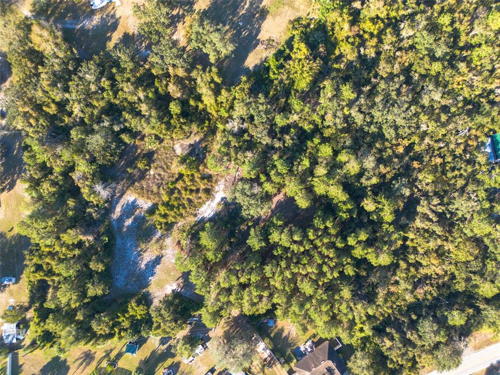 2078 Elkcam Boulevard Deltona, FL 32725 - Photo 25 of 36 a backyard of a house