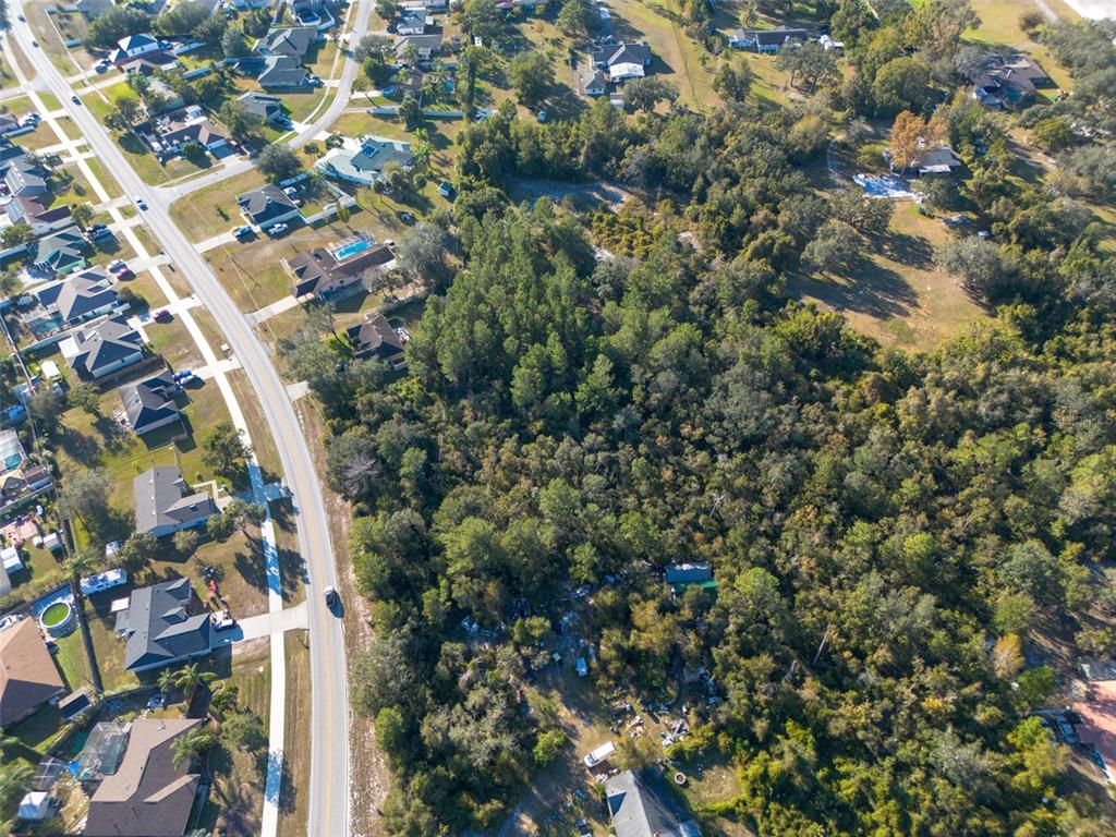 2078 Elkcam Boulevard Deltona, FL 32725 - Photo 34 of 36 a picture of tree